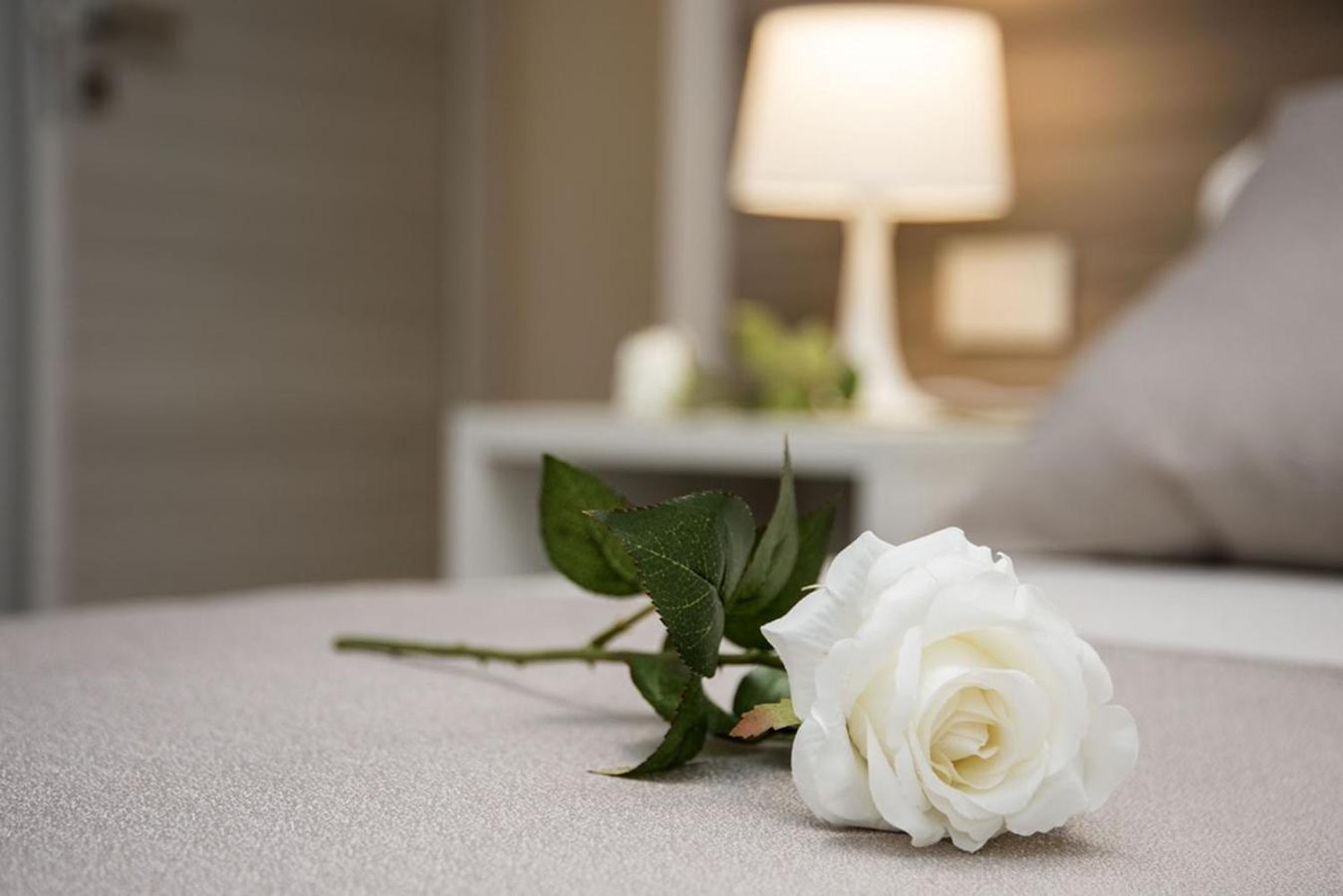 Camelot Appartamenti - Business E Holiday Сан-Мартино-Буон-Альберго Экстерьер фото